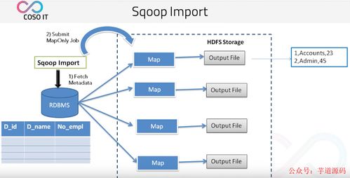 八款主流數據遷移工具技術選型解析，助力數據處理技術開發